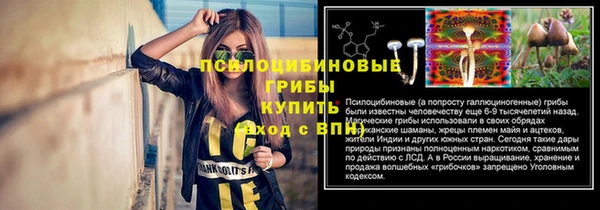 mdpv Мегион