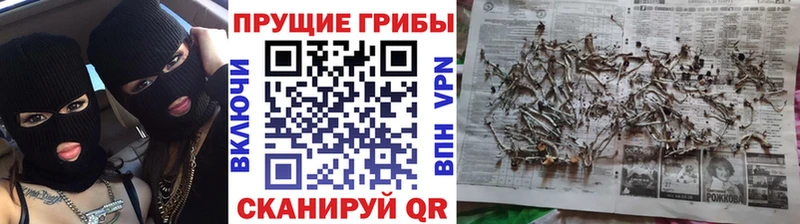 omg ONION  Калачинск  shop телеграм  Галлюциногенные грибы Psilocybe 